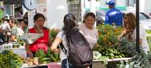 Mercado agroecol&oacute;gico con productos frescos y a precios justos