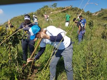 Jornada de Mantenimiento en el Cerro de Las Tres Cruces