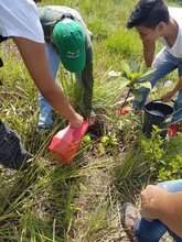 Jornada de Mantenimiento en el Cerro de Las Tres Cruces