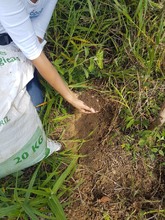 Jornada de Mantenimiento en el Cerro de Las Tres Cruces