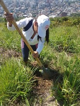 Jornada de Mantenimiento en el Cerro de Las Tres Cruces
