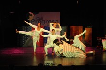 Cali cuenta con un Consejo Municipal de Paz comprometido