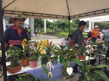 Mercado agroecol&oacute;gico 06