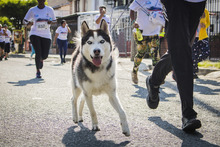 Carrera 5k AguaBlanca 13