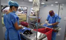 Feria de Servicios Gobernanza del Jarillon Rio Cauca Llano Verde