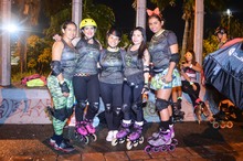 Total &eacute;xito en el Roller Wood volumen 2