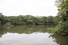 Los ni&ntilde;os, los futuros conservadores del medio ambiente 