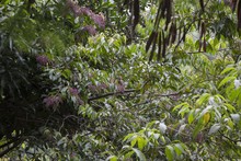 Los ni&ntilde;os, los futuros conservadores del medio ambiente 