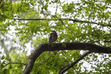 Los ni&ntilde;os, los futuros conservadores del medio ambiente 