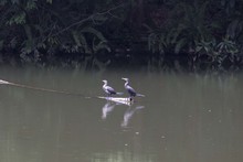 Los ni&ntilde;os, los futuros conservadores del medio ambiente 