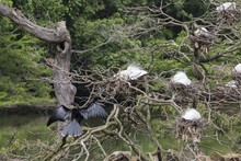 Los ni&ntilde;os, los futuros conservadores del medio ambiente 