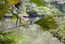Los ni&ntilde;os, los futuros conservadores del medio ambiente 