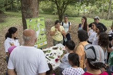 Los ni&ntilde;os, los futuros conservadores del medio ambiente 