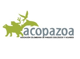 Acopazoa