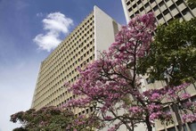 Funciones de la Unidad de Apoyo a la Gesti&oacute;n