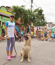 Área renovación urbana disfrutó de presentación de adiestramiento canino
