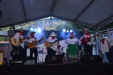 Los Hermanos  Casta&ntilde;eda y Andr&eacute;s Pasos,  fueron los ganadores del  Festival de M&uacute;sica Campesina