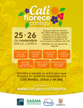 afiche cali florece