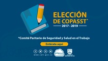 Elecci&oacute;n del copasst