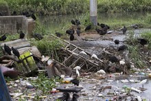 Armitage insta a los caleños a no arrojar basuras en los canales de agua lluvia