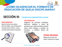 SECCI&Oacute;N 3 PRUEBAS QUE FUNDAMENTAN LA QUEJA 