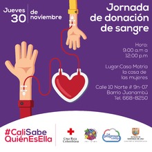 Este jueves, jornada de donaci&oacute;n de sangre en Casa Matria 