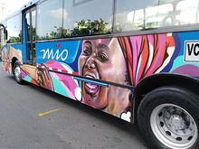 El MIO sigue hablando en colores 