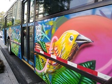 El MIO sigue hablando en colores 