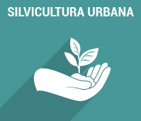 Silvicultura