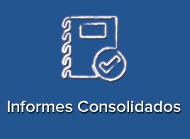 Informes Consolidades FSE