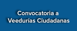 Veedurias Ciudadanas
