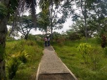 Zanj&oacute;n del Burro 01