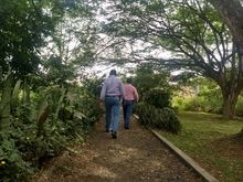 Zanj&oacute;n del Burro 02