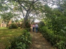 Zanj&oacute;n del Burro 03