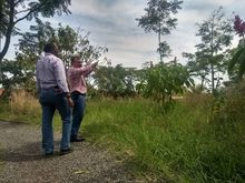 Zanj&oacute;n del Burro 08