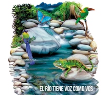 7 R&iacute;os Fest, amor puro por las cuencas h&iacute;dricas de Cali 