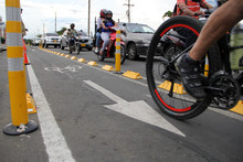 Biciusuarios transitando por el bicicarril