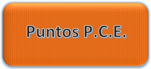 PuntPCE 03
