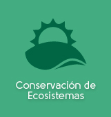 Conservaci&oacute;n de Ecosistemas