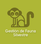 Gesti&oacute;n de Fauna Silvestre