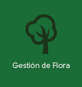 Gesti&oacute;n de Flora