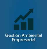 Gesti&oacute;n Ambiental Empresarial
