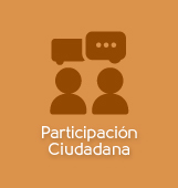 Participaci&oacute;n Ciudadana
