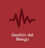 Gesti&oacute;n del Riesgo