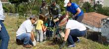 Con una jornada de limpieza y siembra de Guayacanes, se inici&oacute; el programa Reforestemos nuestro barrio en Santa Teresita