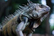 Dagma le rindi&oacute; tributo al agua