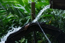 Dagma le rindi&oacute; tributo al agua