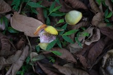 Dagma le rindi&oacute; tributo al agua