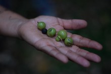 Dagma le rindi&oacute; tributo al agua
