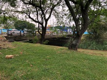 El parque lineal R&iacute;o Cali un espacio lleno de bondades